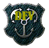 dfv_logo